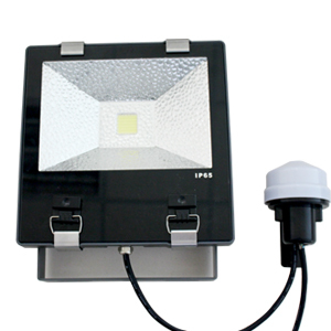 America Chip 50000/Month Floodlight LED 20W