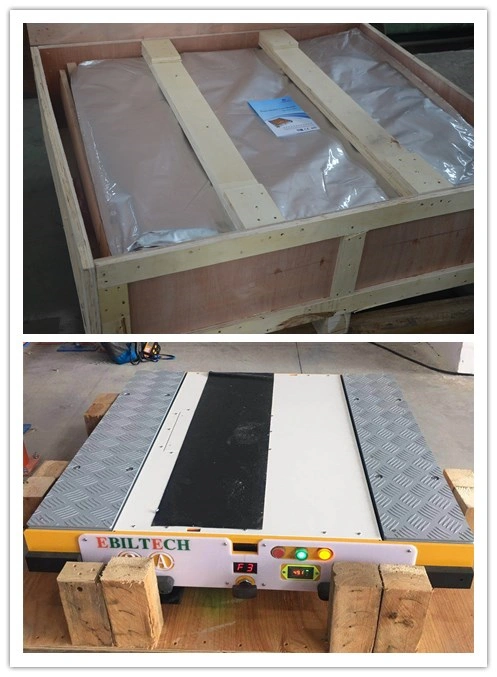 Radio Remote Control Shuttle Pallet Racking System