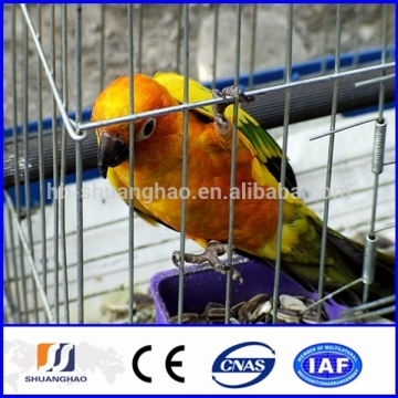 Cheap wrought iron bird cages(manufacturer)