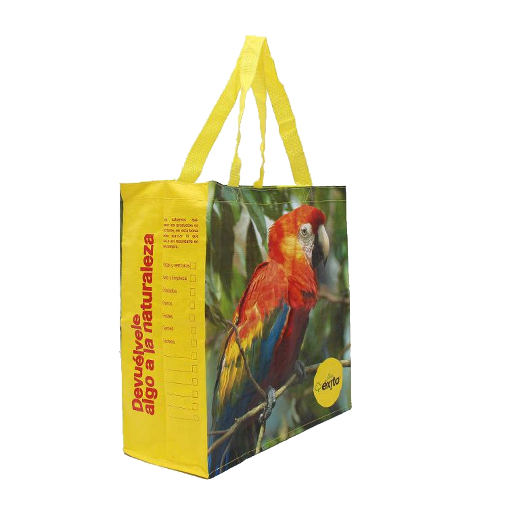Gots Oeko-Tex 100 Hot Selling Blue Cmyk Printing Long Nylon/Polyester Handle PP Woven Bag with Lamination