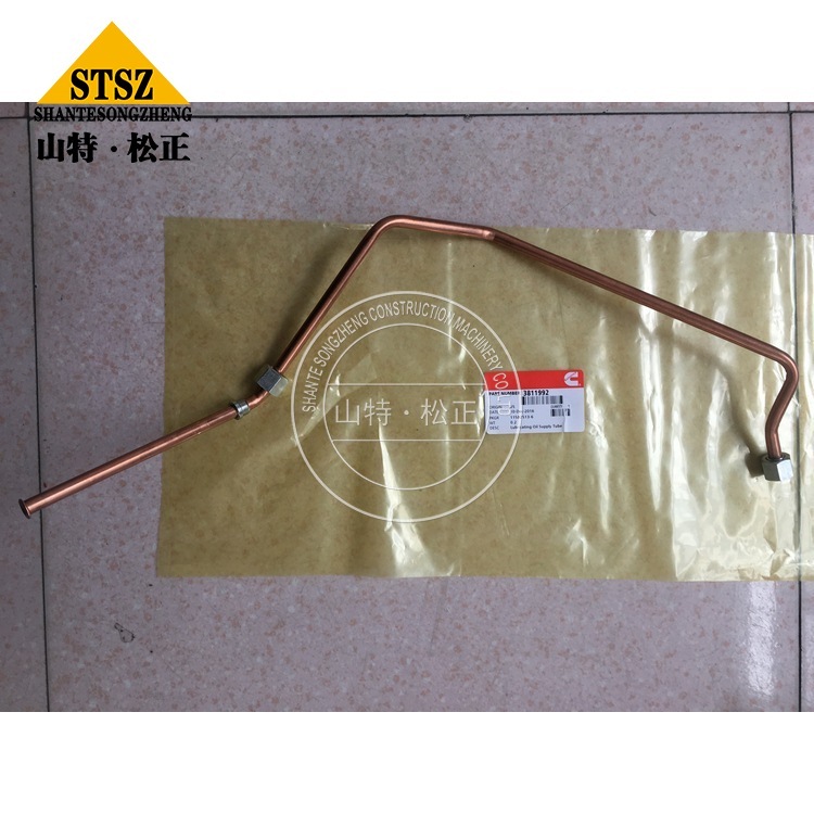 3811992 2 Jpg 3811992 2 Jpg