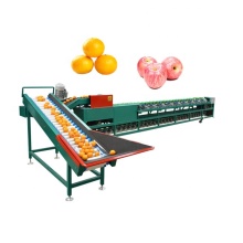 Factory Supply Orange Grading and Fruit Weight Sorting Machine
