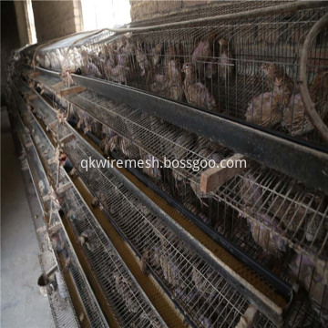 China Telur Ayam Yang Berkualiti Baik Berkualiti Tinggi Telur Ayam Yang Berkualiti Baik Pada Bossgoo Com