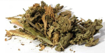 Herba Pogostemonis estragole Agastache Rugosus huo xiang