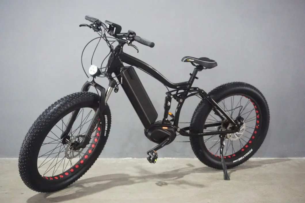 1000W Powerful Mountain Electric Bike with Full Suspension