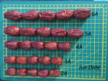 Plastic Bag Packing Organic Red Dates