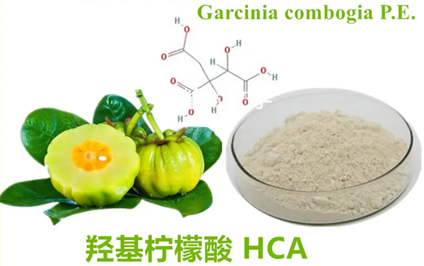 Garcinia cambogia extract