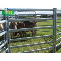 High Quality Hot Sale Galvanized Cattle Horse Fence