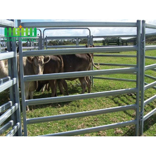 High Quality Hot Sale Galvanized Cattle Horse Fence