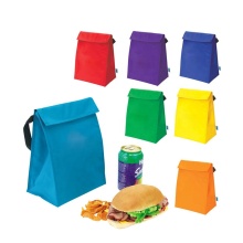 Colorful Outdoor Camping Cooler Bag