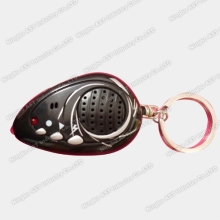 Voice Key Ring Sound Keychain Keychain Voice Keychain