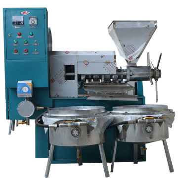 Screw Oil Press Machine for Peanuts, Coconuts, Walnuts, and More