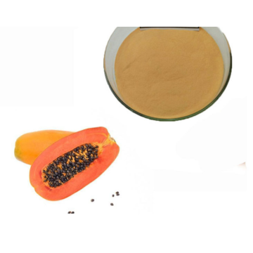 Papaya Poederextract Cosmetische kwaliteit