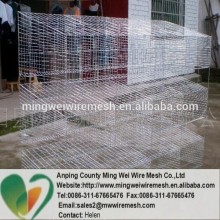 husbandry breeding rabbit cage