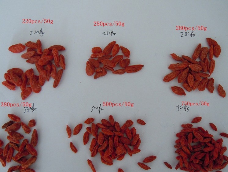 Dried Organic Goji Berries (350grains/50g)