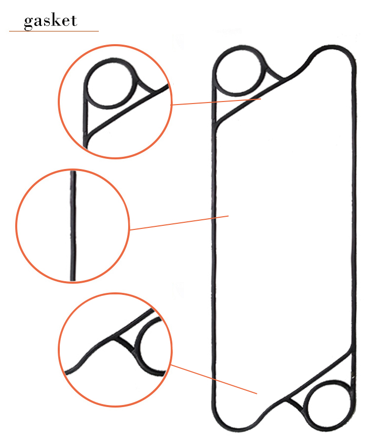 guarnizione gasket