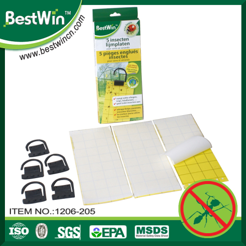MSDS certification used indoor and outdoor bed bug glue trap