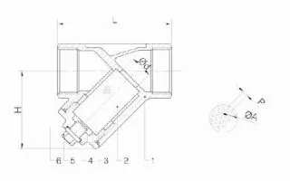 Y Strainer with Blow-off Threaded 800psi/Pn40 Wcb/CF8/CF8m/CF3m ANSI B2.1/ BS21/ISO7/1