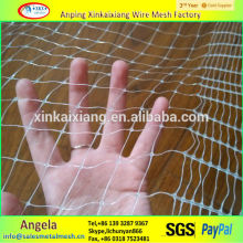 white / black Transparent stretched pp net for bird made in china