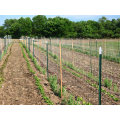 GREEN PAINTED T fence POST METAL FENCE POSTS