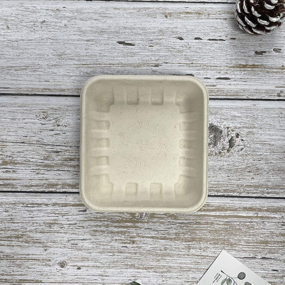 Bagasse Tray