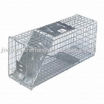 live animal trap/animal trap