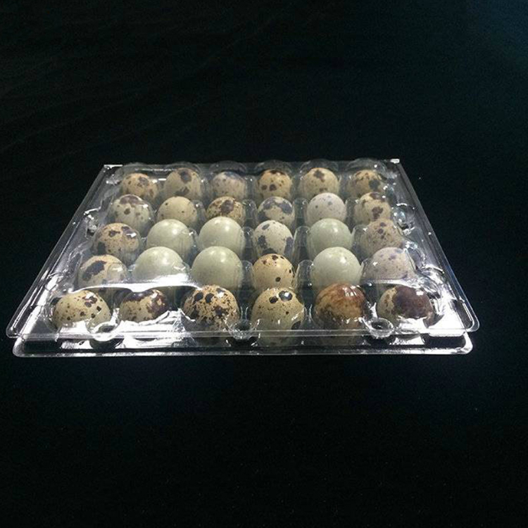 Bandejas de huevos de codorniz de plástico transparente de 24 celdas