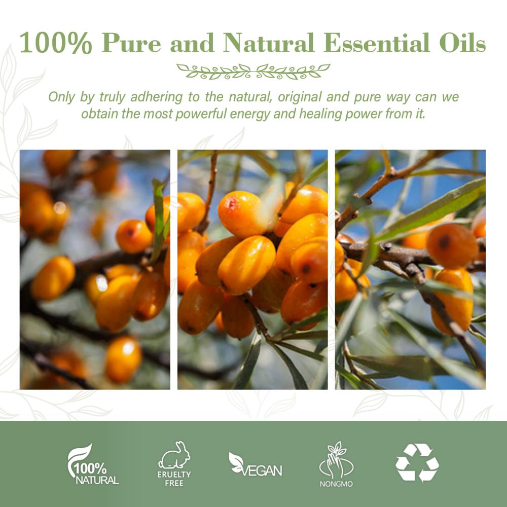 Soins de santé de haute qualité et soins de la peau à l&#39;huile de fruits Seabuckthorn