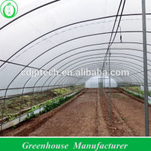 Green House In Tunnel