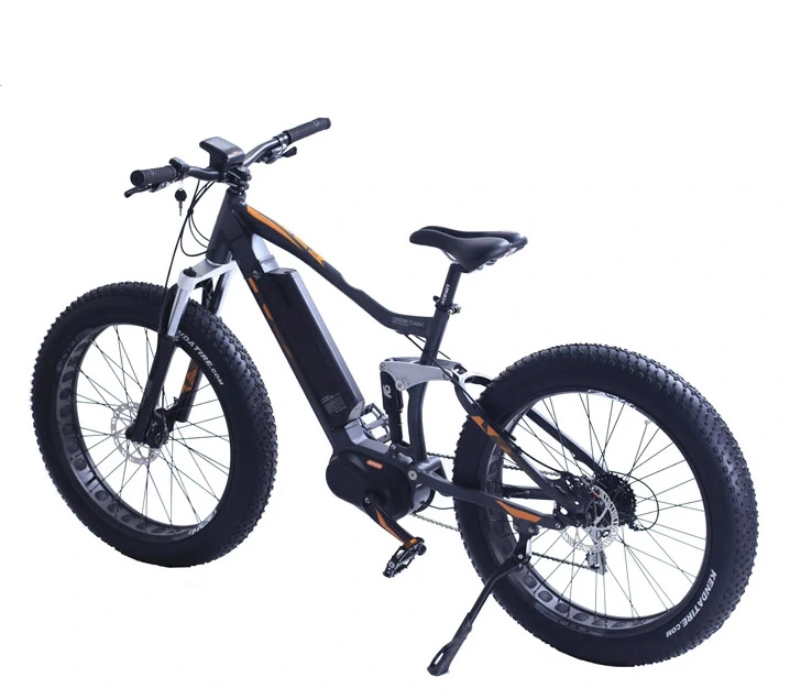 Fat Tire Electric Bike with 48V 500W Bafang MID Motor Lithium Battery