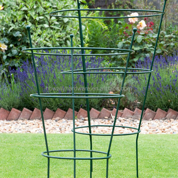 Galvanized Round and Square Plant Supports for Tomatoes