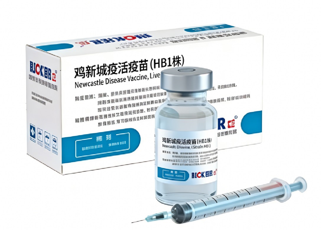 VACCIN CONTRE LA MALADIE DE Luckier-NEWCASTLE, EN DIRECT (SOUCHE HB1) Luckier-NEWCASTLE DISEASE VACCINE,LIVE(STRAIN HB1)