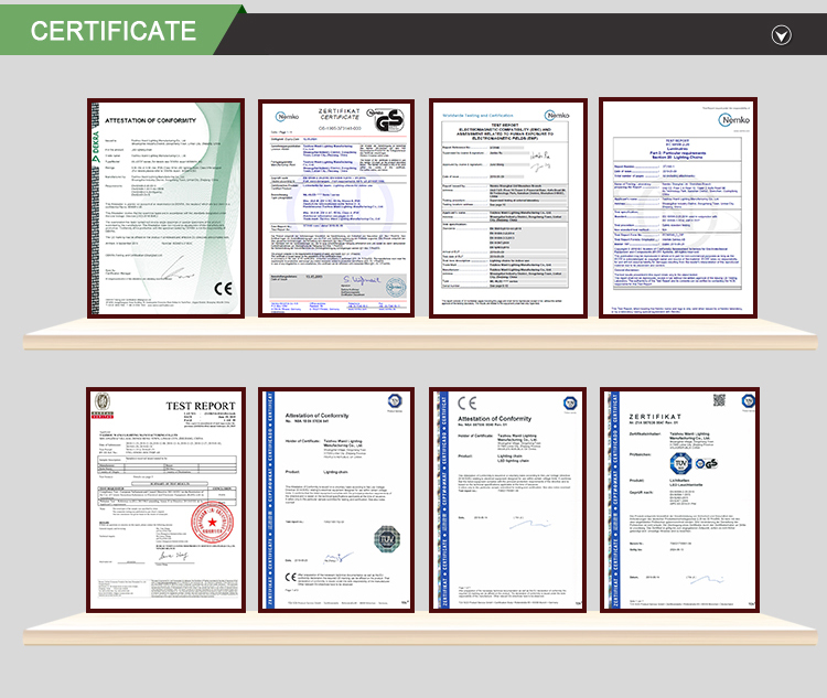 Customize Led Firecracker String Lights USB Fairy Lights Firecracker Cluster  11.5Ft 100LED Christmas Lights