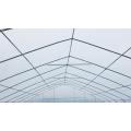 Single tunnel greenhouse plastic shed for vegetables