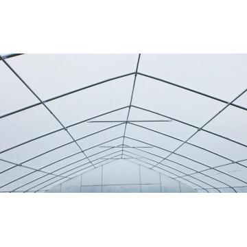 Agricultural Single Span Plastic Tunnel Greenhouse