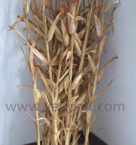 Fireproof artificial corn stalks artificial corn plant