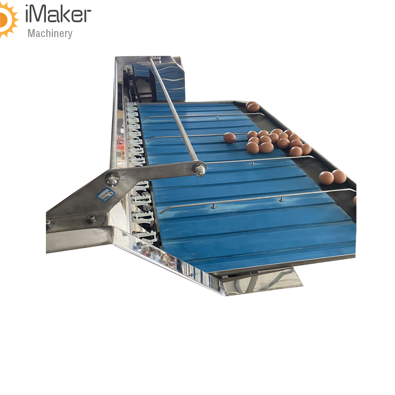 poultry farm use chicken egg grading sorting machines automatic