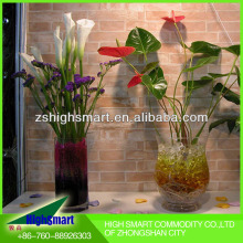 crystal soil, hydro gel, water bead, rainbow clay