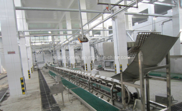 Machinery Slaughter for Pigs (HT-P180)