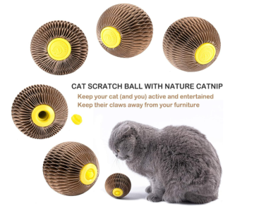 Scratcher Ball Reduce Obesity and Loneliness