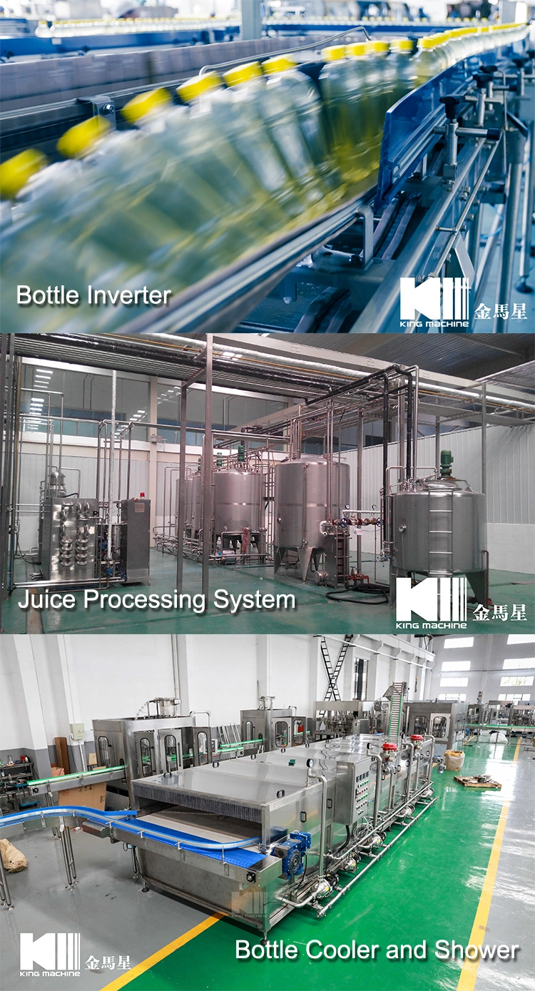 3in1 Glass Bottle Juce Filling Machine Line, Fruit Juice Drink Making Machinrine, Juice Bottle Filling and Cap Machine