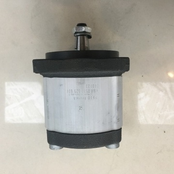 Rexroth gear pump 0511525604