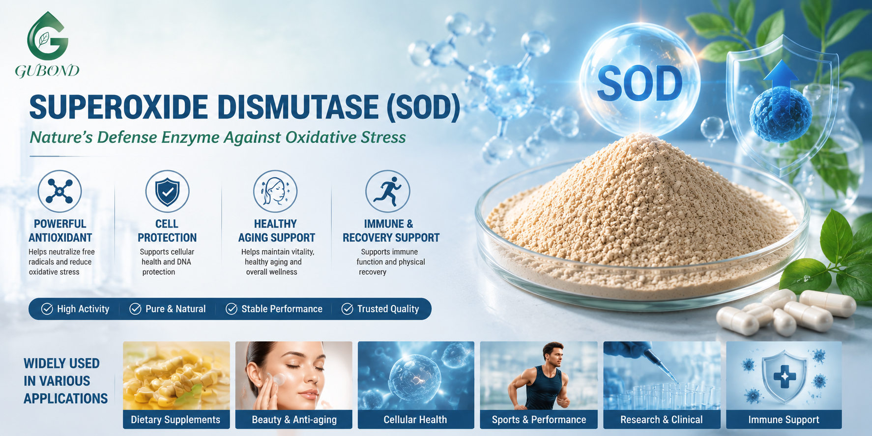 Superóxido dismutasa (SOD) Superoxide Dismutase (SOD)