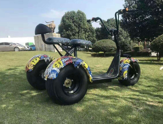 Three Wheel Electric Scooter