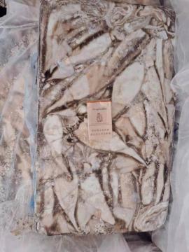 Frozen Arrow Squid Whole Round 200-300g