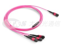 MTP?/MPO Shuffle Cable