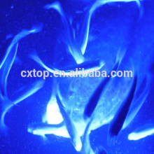 Blue LED Fishing Bait