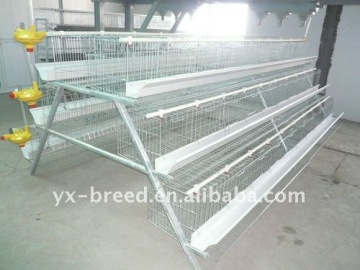 Wield wire mesh Poultry Cages for layer chickens