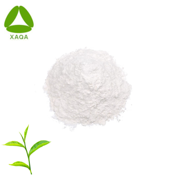 Organic Supplements Green Tea Extract EGCG 98% Powder