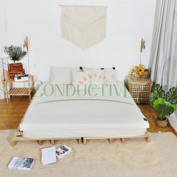 Drap de lit queen size en coton argenté